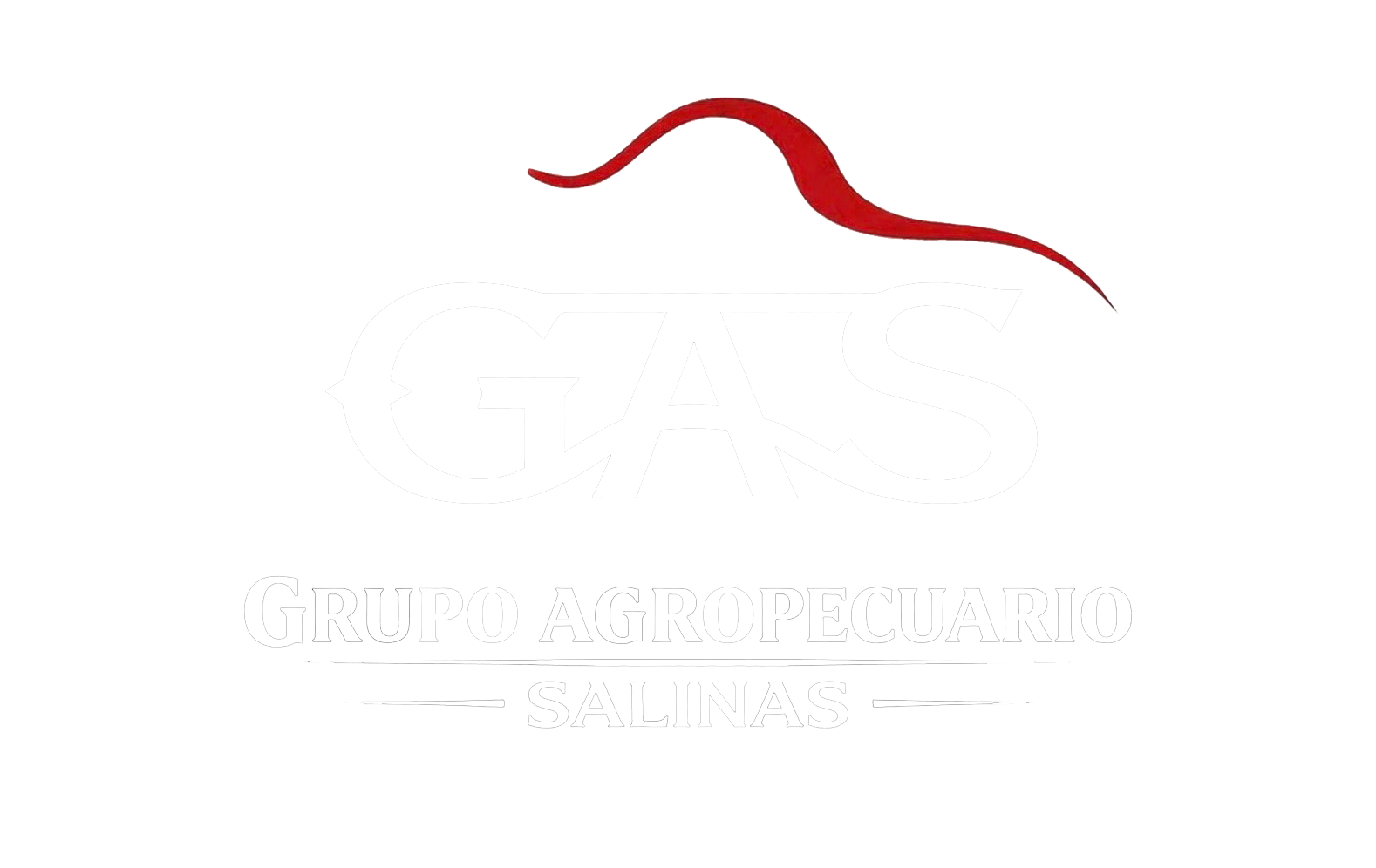 GAS
